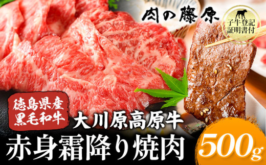 大川原高原牛 赤身・霜降り焼肉用 500g 株式会社肉の藤原《30日以内に出荷予定(土日祝除く)》徳島県 佐那河内村 和牛 希少 佐那河内 さなごうち 大川原高原 牛肉 焼肉  赤身  贅沢 あっさり バーベキュー BBQ 弁当 冷凍 ギフト 贈答