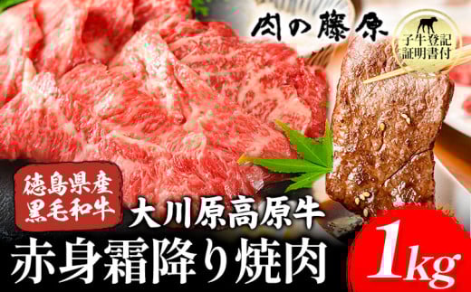 大川原高原牛 赤身・霜降り焼肉用 1kg 株式会社肉の藤原《30日以内に出荷予定(土日祝除く)》徳島県 佐那河内村 和牛 希少 佐那河内 さなごうち 大川原高原 牛肉 焼肉  赤身  贅沢 あっさり バーベキュー BBQ 弁当 冷凍 ギフト 贈答