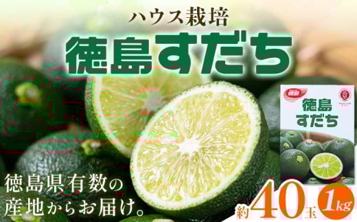 [ 先行予約 ] 生産量日本一 徳島県産 ハウスすだち 1kg[2026年6月中旬-8月上旬頃に出荷予定(土日祝除く)]徳島 すだち スダチ 露地 魚 豆腐 冷奴 焼き魚 天ぷら 刺身 徳島県 佐那河内村