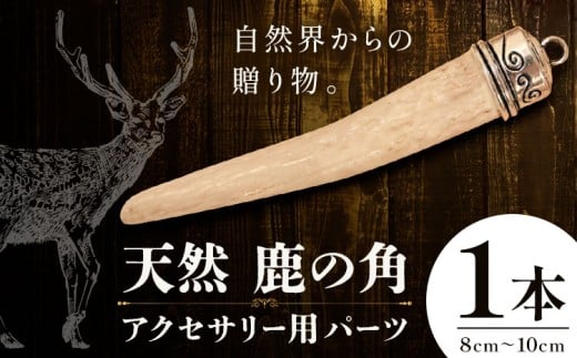 天然・鹿の角アクセサリー用パーツ 【配送不可地域あり】(離島) 一般財団法人さなごうち 《30日以内に出荷予定(土日祝除く)》│ ハンドメイド ハンドメイドパーツ DIY 一点物 天然 徳島県 佐那河内村