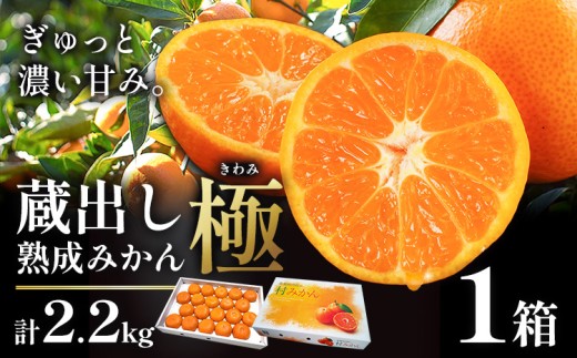 <先行予約> 蔵出し熟成みかん『極』 1箱 《2月中旬-2月末頃出荷予定》みかん ミカン 蜜柑 mikan 貯蔵 柑橘 佐那河内 さなごうち 徳島県 箱入り 化粧箱 S M L フルーツ 果物 くだもの 贈答 進物