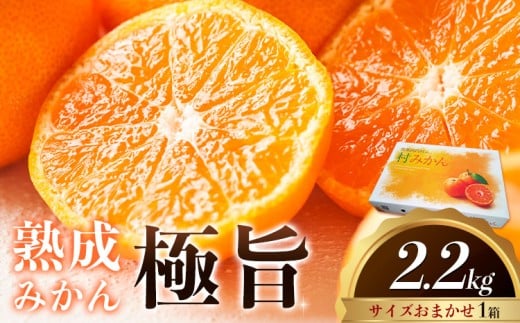 <先行予約> 熟成みかん『極旨』1箱 廣畠農園《2月初旬-2月末頃出荷予定》徳島県 佐那河内村 みかん ミカン 蜜柑 柑橘 箱入り 化粧箱 フルーツ 果物 くだもの 贈答 【配送不可地域あり】※離島