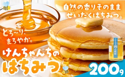 けんちゃんちのはちみつ 200g 《30日以内に出荷予定(土日祝除く)》ふるさと納税 はちみつ ハチミツ 蜂蜜 国産蜂蜜 天然蜜蜂 徳島県 佐那河内村 送料無料