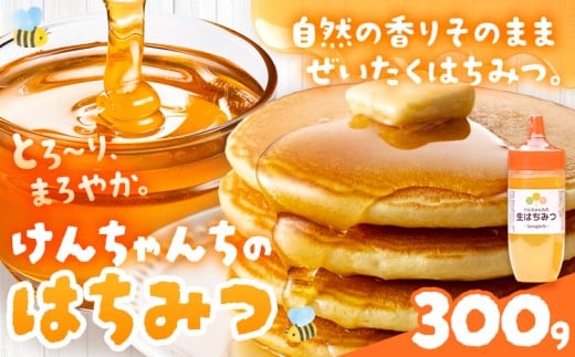 けんちゃんちのはちみつ 300g《30日以内に出荷予定(土日祝除く)》ふるさと納税 はちみつ ハチミツ 蜂蜜 国産蜂蜜 天然蜜蜂 徳島県 佐那河内村 送料無料