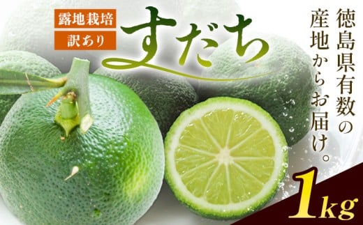 <2026年予約受付> 生産量日本一!! ちょっとキズでも香りは満点 徳島県産 訳ありすだち 1kg《9月上旬-9月末頃に出荷予定(土日祝除く)》徳島県 佐那河内村 すだち サイズ不揃い B級すだち すだち キズあり すだち 不揃い