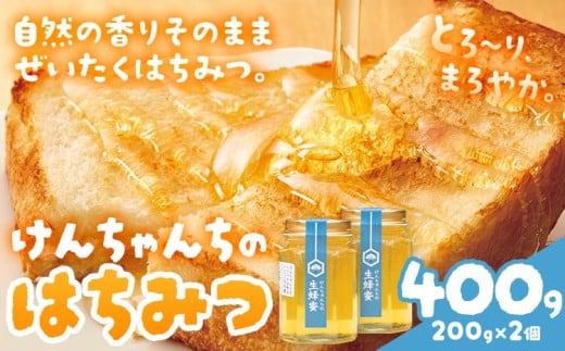 けんちゃんちのはちみつ 200g 2個セット《30日以内に出荷予定(土日祝除く)》ふるさと納税 はちみつ ハチミツ 蜂蜜 国産蜂蜜 天然蜜蜂 徳島県 佐那河内村 送料無料