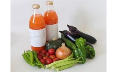 030-021 若葉農園の無農薬自然栽培野菜セットと自然栽培野菜人参ジュース1L2本