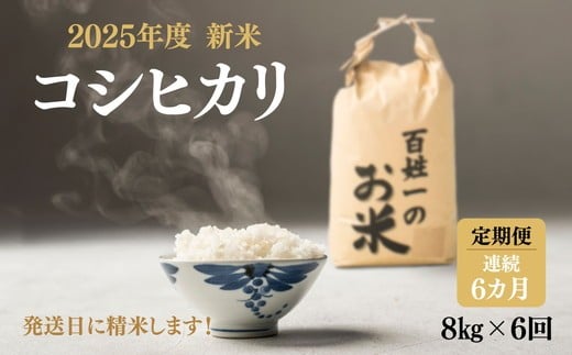 128-1001 【6回定期便】石井町産コシヒカリ8kg×連続6カ月 ※離島への配送不可