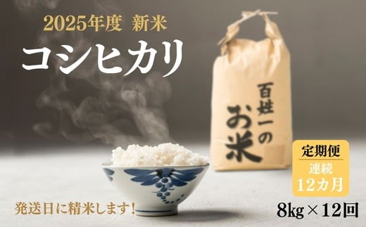 256-1001 【12回定期便】石井町産コシヒカリ8kg×連続12カ月 ※離島への配送不可