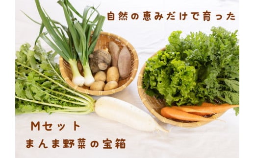012-018 まんま野菜の宝箱セット M