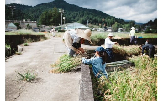 神山の旬を味わう農体験(1回につき4名様まで)