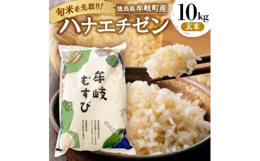 令和7年産「新米を先取り!徳島県牟岐町産ハナエチゼン10kg(玄米)」<安心の検査米>【1647518】