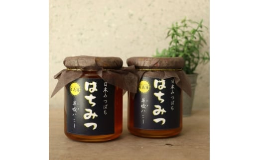 牟岐ハニー 日本ミツバチの百花蜜 300g×2【1661817】