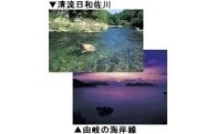 環境の保全等に関する事業