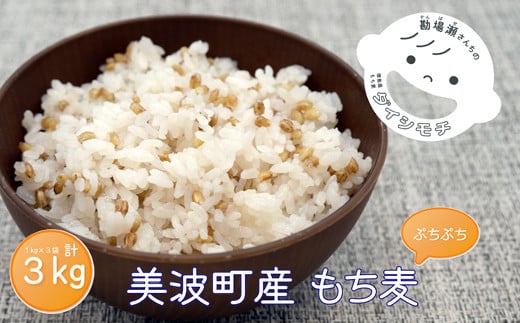 美波町産 もち麦 3kg(1kg×3袋)