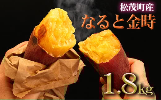 さつまいも(なると金時)松茂町産1.8kg 徳島 鳴門金時 芋 秋 旬 サツマイモ 正月 おせち 贈答用