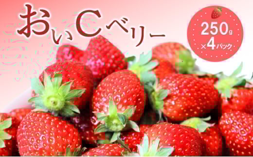 おすすめ品種「おいCベリー」4パック　250g×4パック　『とくしま安２（安全・安心）農産物』優秀認定取得