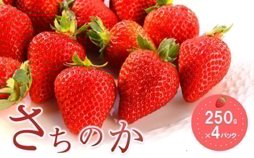 おすすめ品種「さちのか」4パック　250g×4パック　『とくしま安２（安全・安心）農産物』優秀認定取得