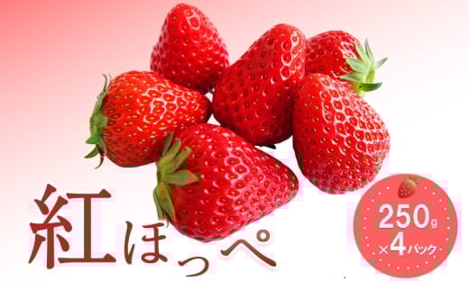 おすすめ品種「紅ほっぺ」4パック　250g×4パック　『とくしま安２（安全・安心）農産物』優秀認定取得