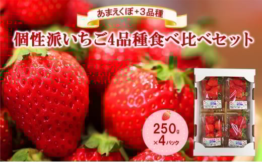 「あまえくぼ」+3品種　個性派いちご4品種食べ比べセット　250g×4パック　『とくしま安２（安全・安心）農産物』優秀認定取得