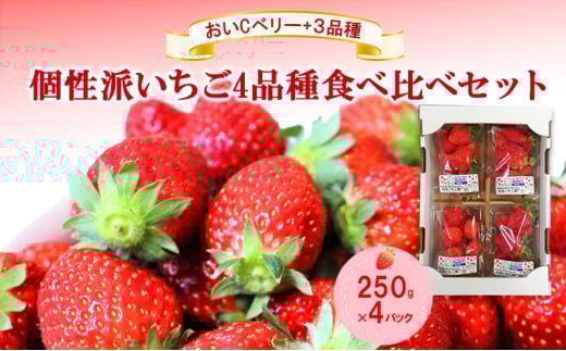 「おいCベリー」+3品種　個性派いちご4品種食べ比べセット　250g×4パック　『とくしま安２（安全・安心）農産物』優秀認定取得