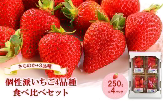 「さちのか」+3品種　個性派いちご4品種食べ比べセット　250g×4パック　『とくしま安２（安全・安心）農産物』優秀認定取得