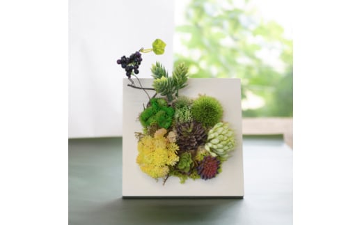 アーティフィシャルプランツ 多肉植物のフレームフェイクグリーン(卓上・壁掛両用)【1220983】