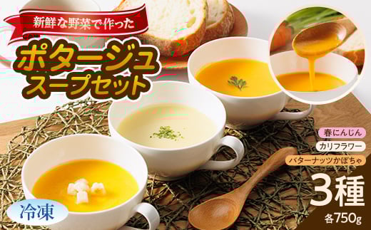 <冷凍大3種:各750g>濱くんちのお野菜をふんだんに使った野菜ポタージュスープセット 簡単便利品!【1475141】