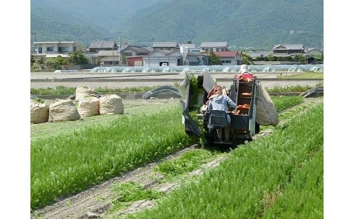 産業の振興に関する事業(産業振興による活力づくり)
