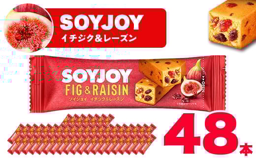 SOYJOY ソイジョイ イチジク&レーズン 48本【1490427】