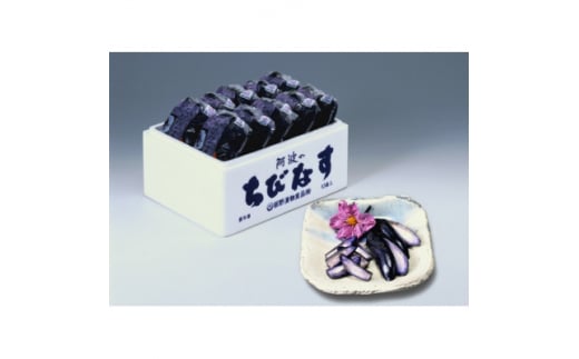 阿波のちびなす【1355303】