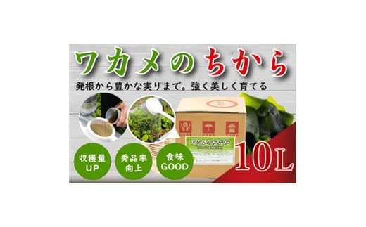 ワカメのちから 10L箱【1495820】