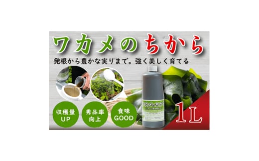 ワカメのちから 1Lボトル【1566448】