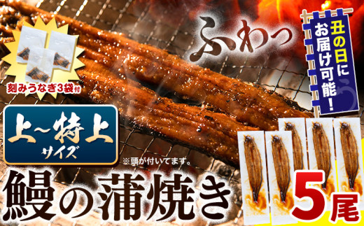 〈スピード出荷〉うなぎ 国産 鰻の蒲焼 5尾 + きざみうなぎ 30g×3袋 上~特上サイズ《3-7営業日以内に出荷(土日祝除く)》| うなぎ 蒲焼 国産 うなぎ 小分け うなぎ 国産 うなぎ 父の日 うなぎ 母の日ギフト うなぎ 簡易包装 送料無料 徳島県 上板町