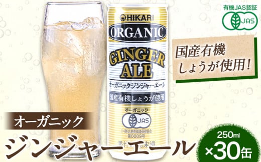 ジンジャーエール 250ml×30缶 光食品株式会社《30日以内出荷予定(土日祝除く)》徳島県 上板町 ジュース 炭酸水 光食品 ジンジャーエール オーガニック 有機 st-p