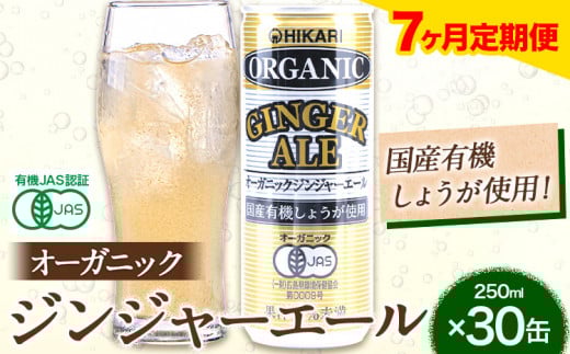 【7ヶ月定期便】 ジンジャーエール 250ml×30缶 光食品株式会社 定期 計7回お届け 《お申込み月の翌月から出荷開始》 徳島県 上板町 ジュース 炭酸水 光食品 ジンジャーエール オーガニック 有機 st-p