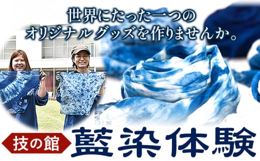 藍染体験チケット 一般社団法人ジャパンブルー上板《30日以内出荷予定(土日祝除く)》徳島県 上板町 藍染 藍染め 体験 技の館 予約 st-p