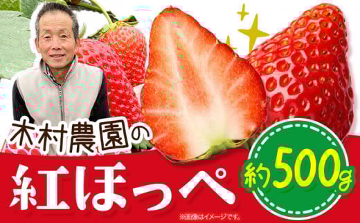 粒の大きさにびっくり! 紅ほっぺ 0.5kg (9~12粒) 木村農園《2026年1月上旬-3月中旬頃出荷》いちご 苺 イチゴ 果物 フルーツ 送料無料 徳島県 上板町 st-p