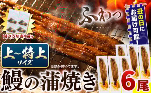 〈スピード出荷〉 うなぎ 国産 鰻の蒲焼 6尾 + きざみうなぎ 30g×4袋 上~特上サイズ《3-7営業日以内に出荷(土日祝除く)》| うなぎ 蒲焼 国産 うなぎ 小分け うなぎ 国産 うなぎ 父の日 うなぎ 母の日ギフト うなぎ 簡易包装 送料無料 徳島県 上板町