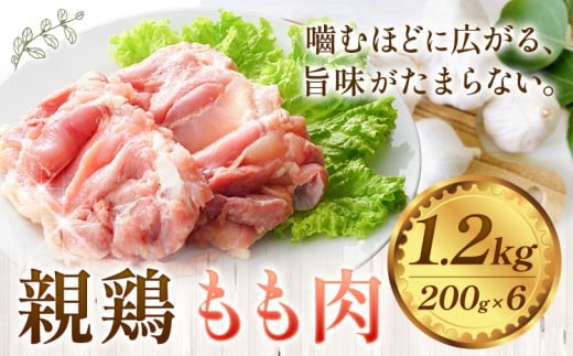 親鶏 肉 鶏肉 もも肉 1.2kg 200g × 6 《30日以内に出荷予定(土日祝除く)》 徳島県 上板町 唐揚げ 炒め物