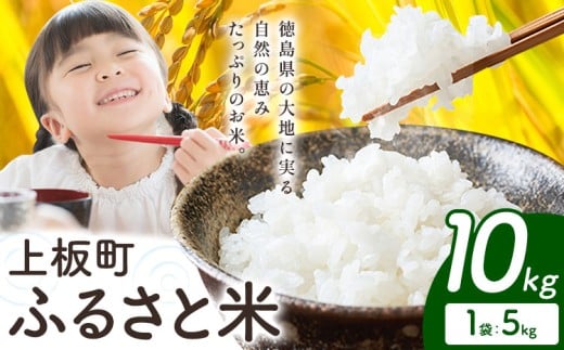 もちもち美味しい! 上板町ふるさと米 精米 10kg 《10月中旬-11月末頃出荷》徳島県 上板町 お米 米 白米