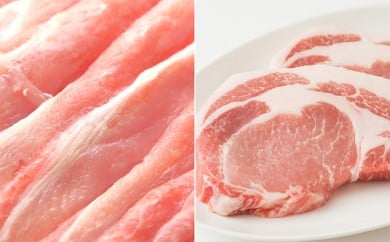 [№5911-0066]讃岐もち豚 ローススライス・テキカツ 各1kgセット