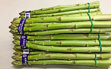 [№5911-0114]香川県オリジナルアスパラガス「さぬきのめざめ」春芽　約1kg 野菜