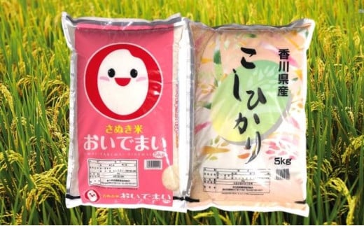 [№5911-0287]香川県綾川町産コシヒカリ・おいでまい食べ比べセット