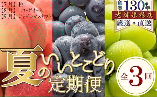 [№5911-0343]【全3回】夏のいいとこどり定期便（7・8・9月発送）