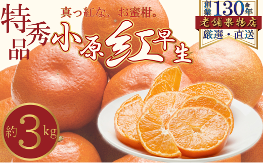 [№5911-0412]特秀品！真っ赤なお蜜柑「小原紅早生」　約3kg