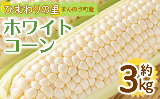 ＜先行予約！2026年6月上旬以降順次発送予定＞＜選べる容量＞ホワイトコーン(約3kg/通常品)  【man110・man111】【Aglio nero】