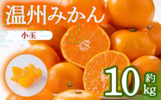 ＜期間限定！2025年10月上旬以降順次発送予定＞香川県産 温州みかん小玉サイズ(約10kg) 【man079】【Aglio nero】