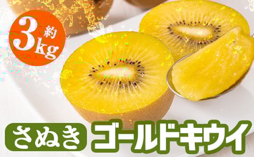 ＜期間限定！2025年10月中旬以降順次発送予定＞＜選べる容量＞香川県産 さぬきゴールドキウイ (約3kg) 【man063・man180】【Aglio nero】