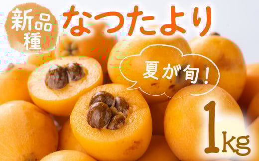 ＜先行予約！2026年5月下旬以降順次発送予定＞なつたより びわ (約1kg) ビワ びわ 果物 フルーツ 産地直送 【man066】【Aglio nero】